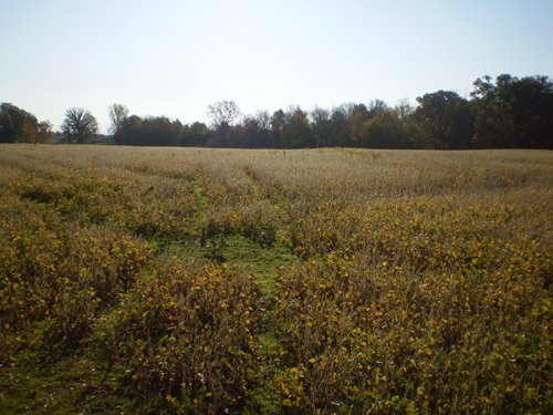 Property photo 4 - 202+/- Acres Offered in 7 Tracts